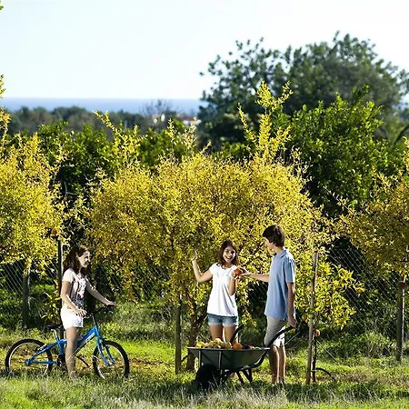 Conversas De Alpendre فيلا نوفا دي كاسيلا