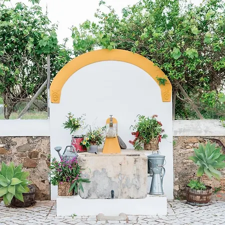 منزل ريفي Conversas De Alpendre