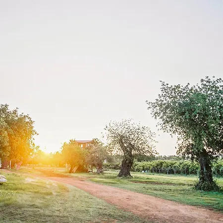 Conversas De Alpendre فيلا نوفا دي كاسيلا