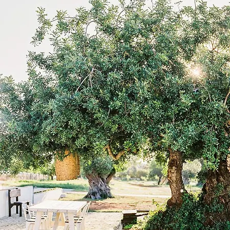 منزل ريفي Conversas De Alpendre فيلا نوفا دي كاسيلا