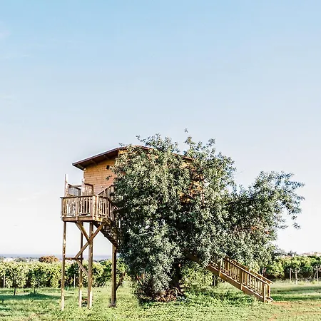 Conversas De Alpendre فيلا نوفا دي كاسيلا