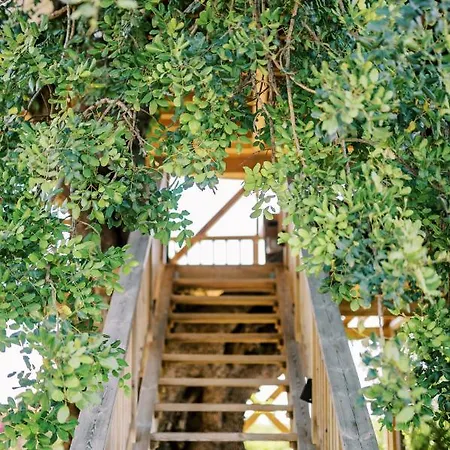 Conversas De Alpendre Country house Vila Nova de Cacela