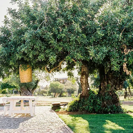 Conversas De Alpendre Country house *