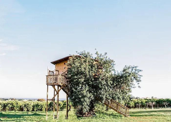 Conversas De Alpendre Vila Nova De Cacela