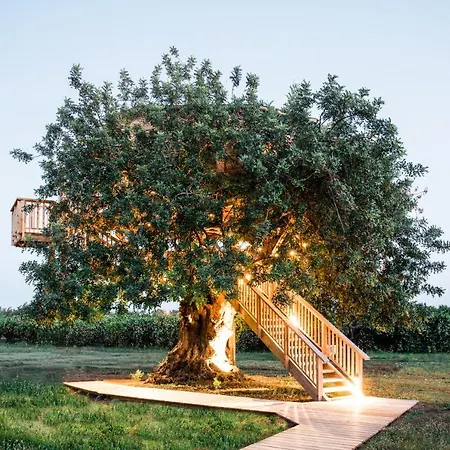 Εξοχικό σπίτι Conversas De Alpendre