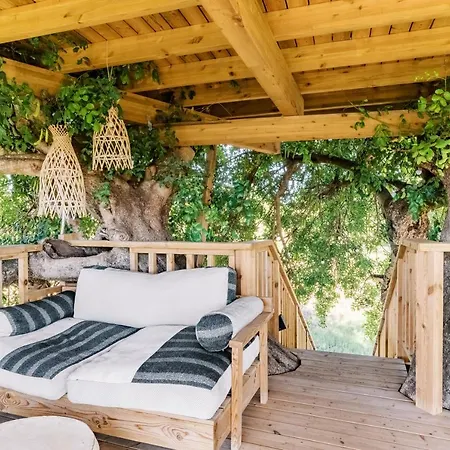 Εξοχικό σπίτι Conversas De Alpendre *