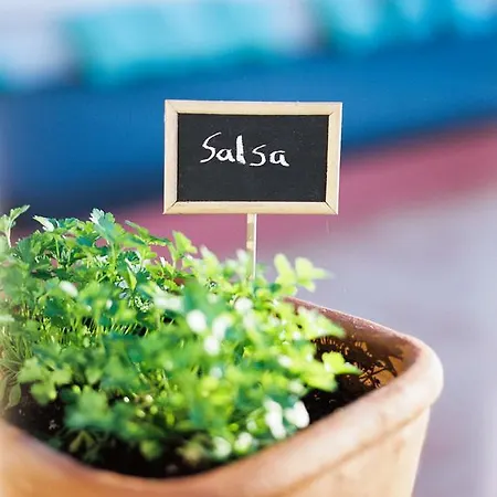 Conversas De Alpendre Εξοχικό σπίτι Vila Nova de Cacela