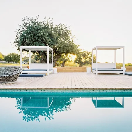 Conversas De Alpendre