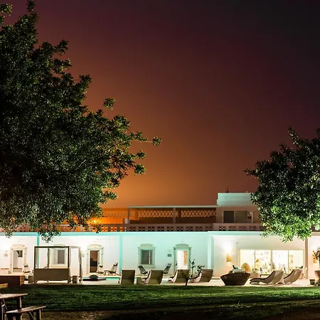 Conversas De Alpendre *